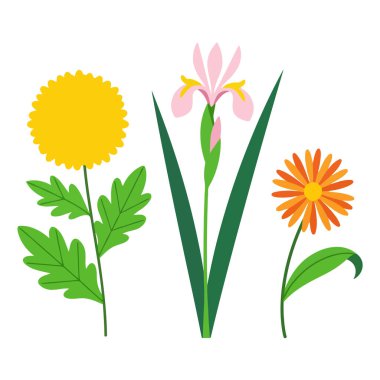 Beyaz üzerine yeşil yapraklı üç farklı çiçek açan minimalist vektör çizimi.