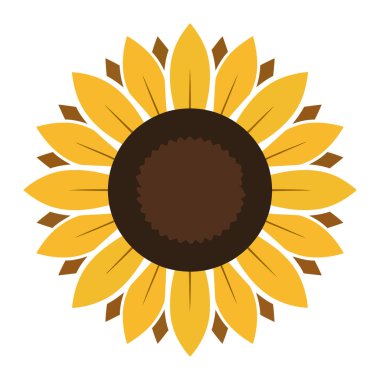 Tek bir biçimlendirilmiş ayçiçeği başı tasarım elementinin basit, neşeli vektör çizimi.