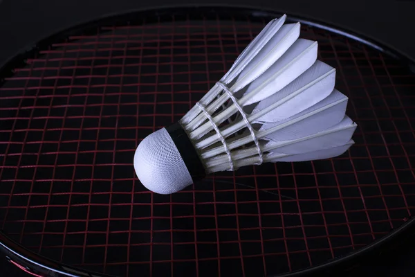 Raket ile shuttlcock