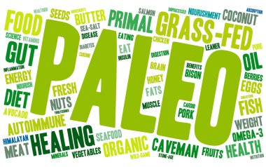 Paleo kelime bulutu