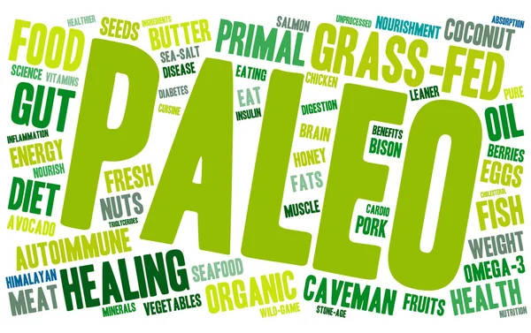 Nube Paleo Word — Vector de stock