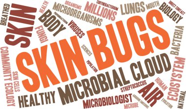 Deri böcekleri kelime bulutu