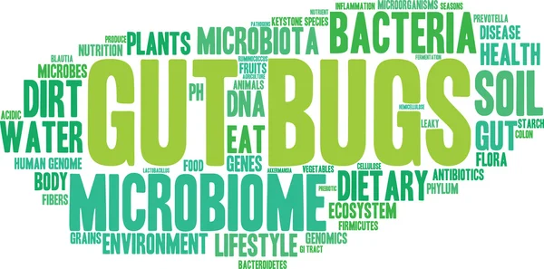 Nube de palabra de insecto intestinal — Archivo Imágenes Vectoriales