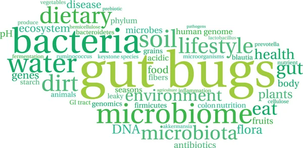 Nube de palabra de insecto intestinal — Vector de stock