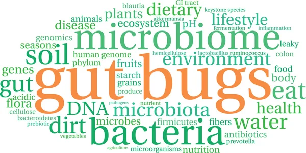 Nube de palabra de insecto intestinal — Vector de stock