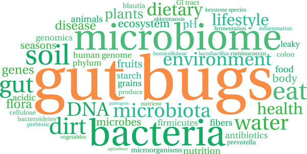 Gut Bug Word Cloud