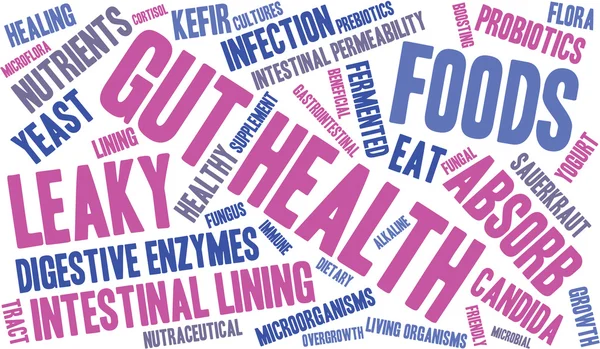 Nube de palabra de salud intestinal — Archivo Imágenes Vectoriales