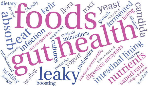 Gut Health Word Cloud — Stock Vector