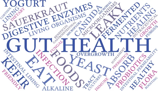Gut Health Word Cloud – stockvektor