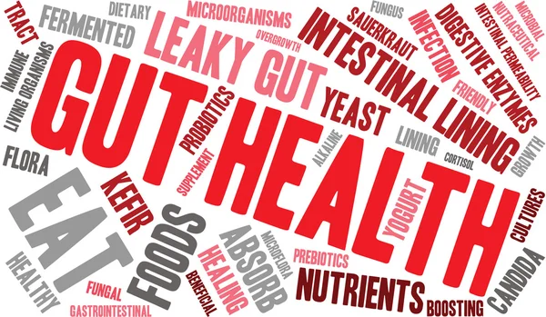 Gut Health Word Cloud – stockvektor