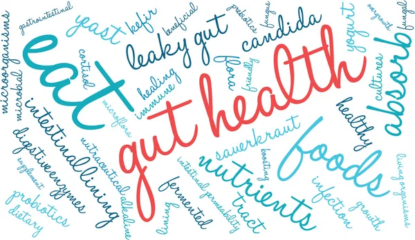 Gut egészség szó felhő — Stock Vector