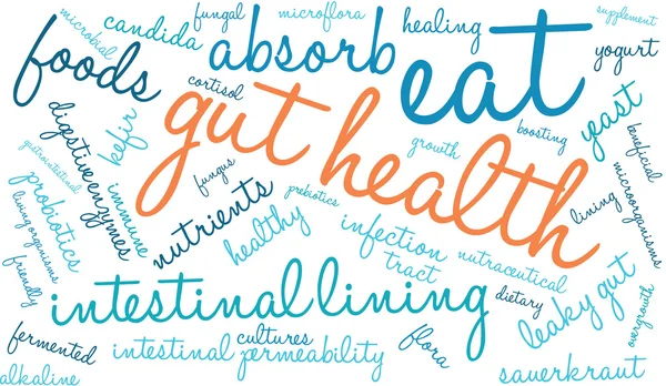 Darm gezondheid Word Cloud — Stockvector