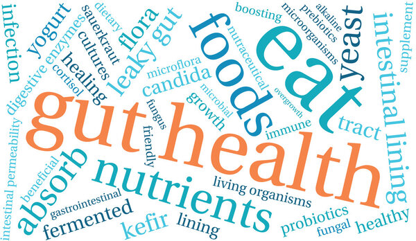 Gut Health Word Cloud