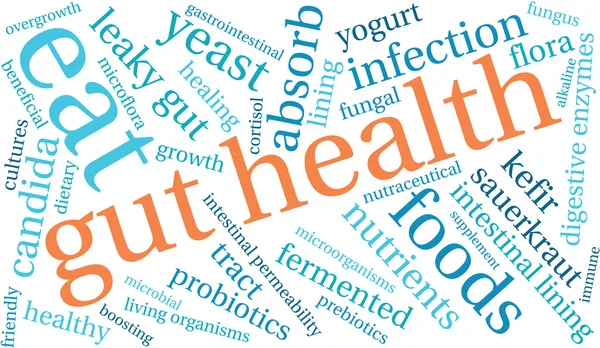 Слово "здоровье" — стоковый вектор