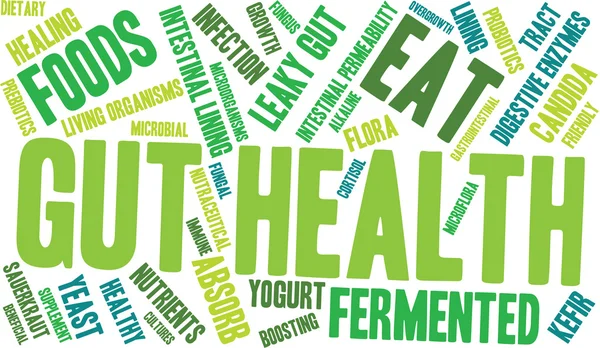 Gut Health Word Cloud — Stock Vector