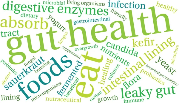 Salute intestinale Word Cloud — Vettoriale Stock