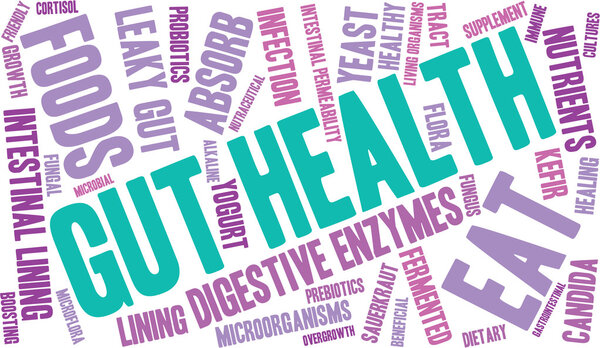 Gut Health Word Cloud