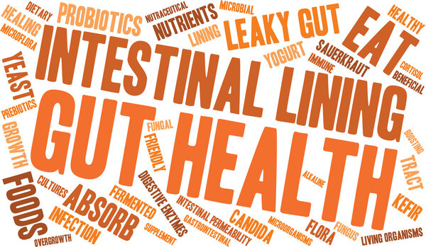 Gut Health Word Cloud