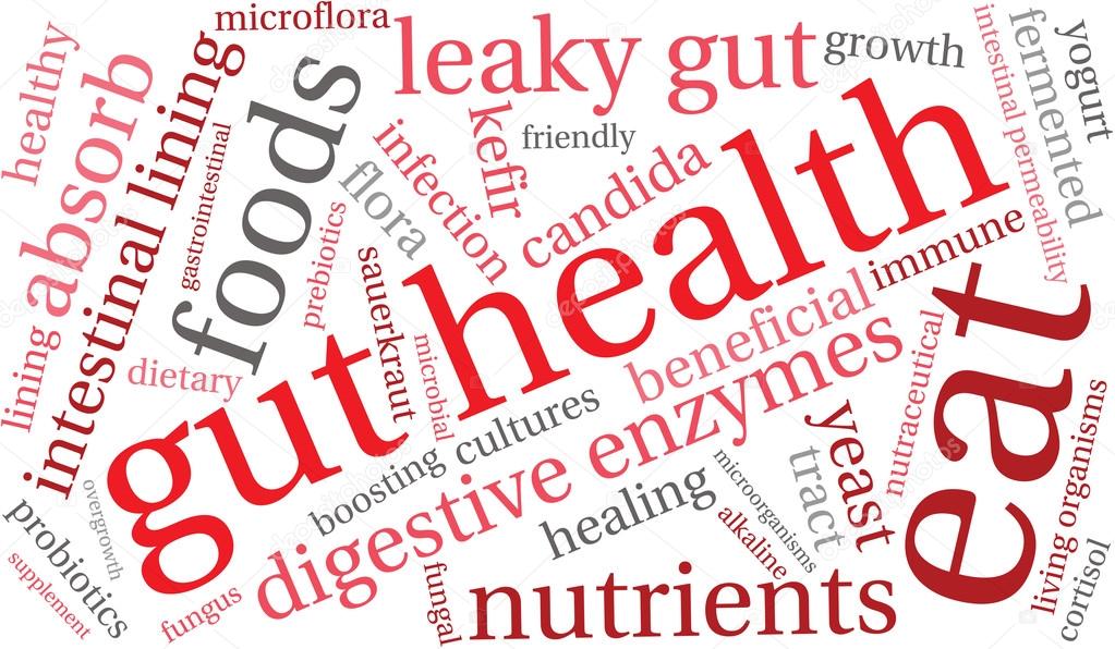 Gut Health Word Cloud