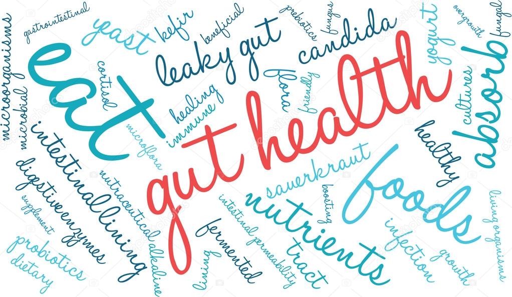 Gut Health Word Cloud