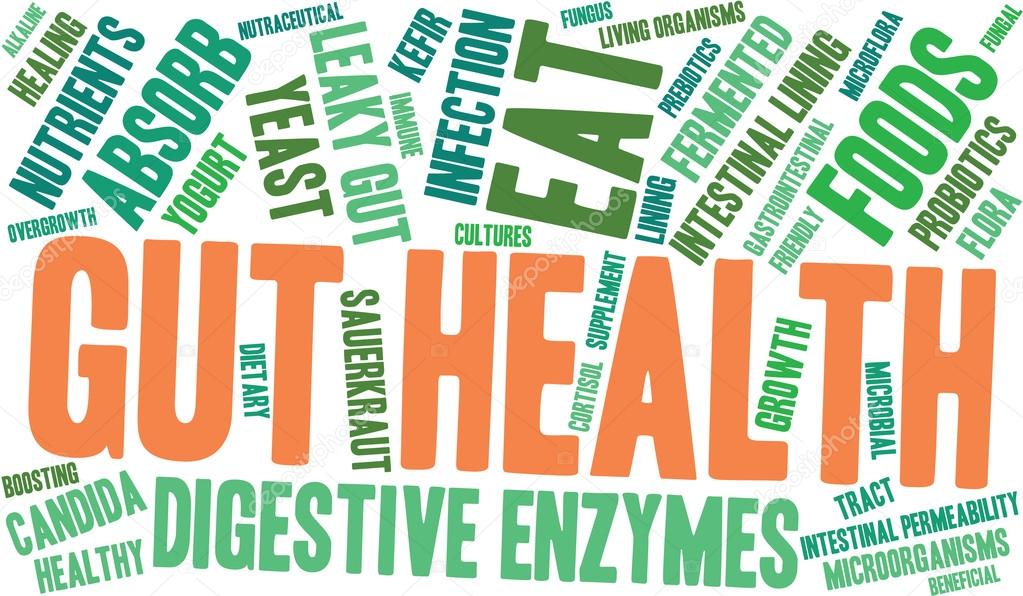 Gut Health Word Cloud