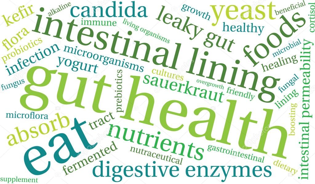 Gut Health Word Cloud