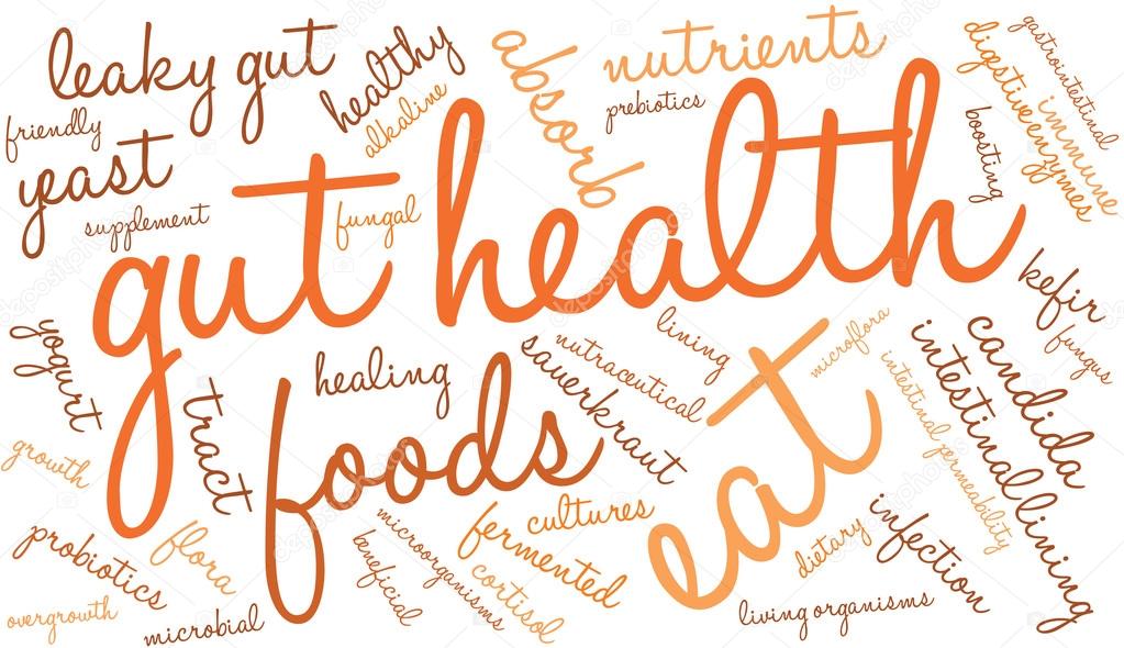 Gut Health Word Cloud