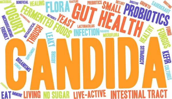 Candida Word Cloud — Stock Vector