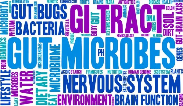 Micróbios intestinais nuvem de palavras —  Vetores de Stock