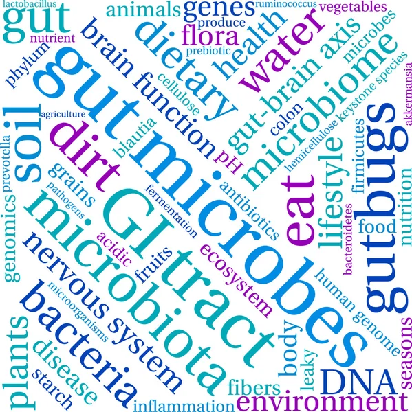 Microbios intestinales Word Cloud — Archivo Imágenes Vectoriales