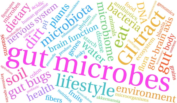 Micróbios intestinais nuvem de palavras —  Vetores de Stock