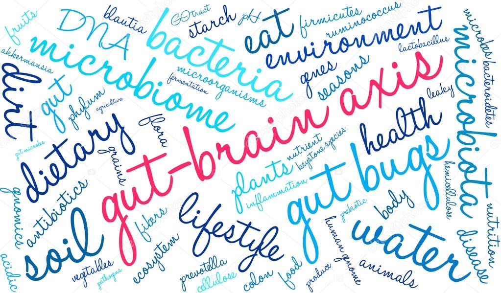 Gut-Brain Axis Word Cloud