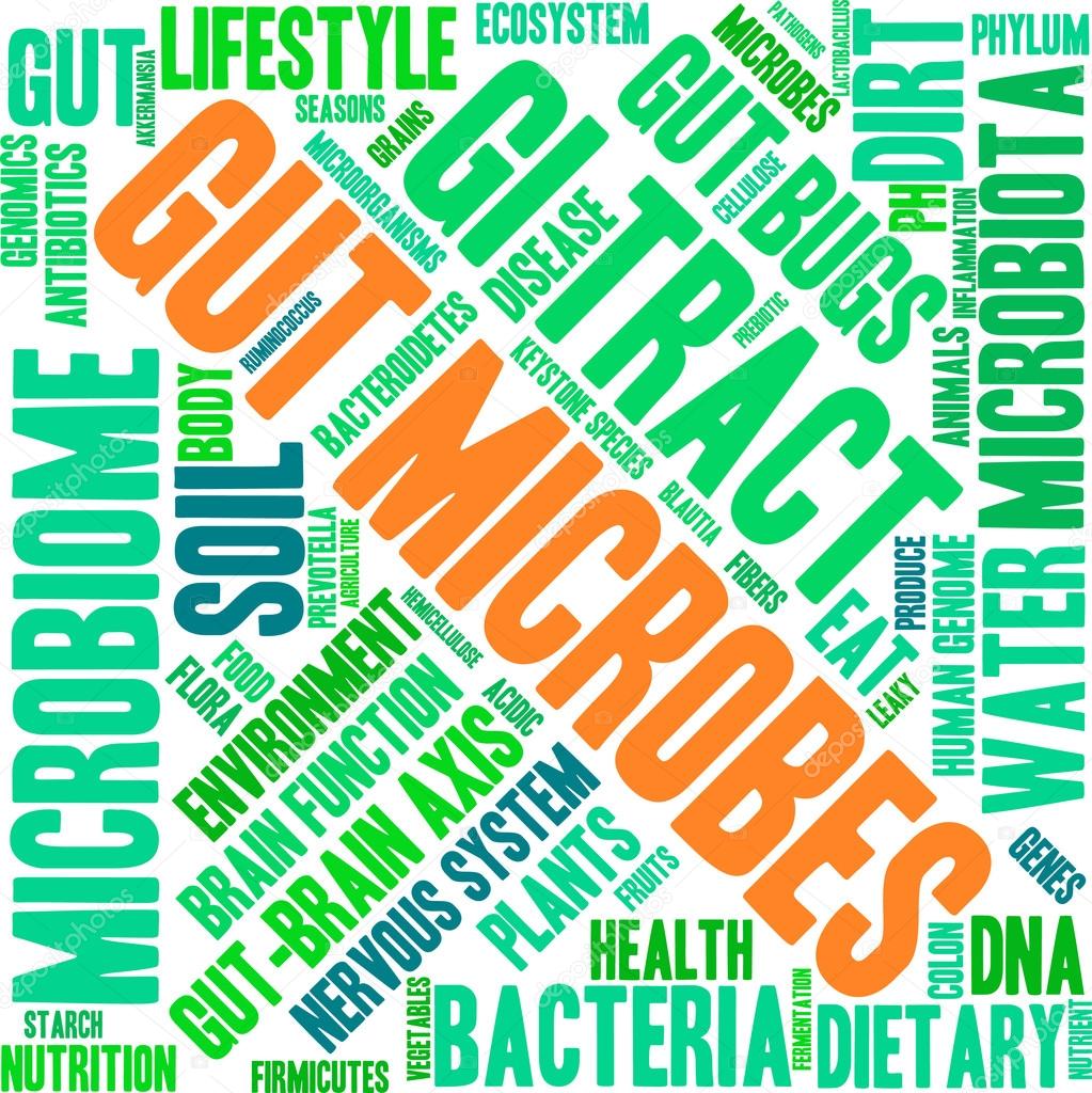 Gut Microbes Word Cloud