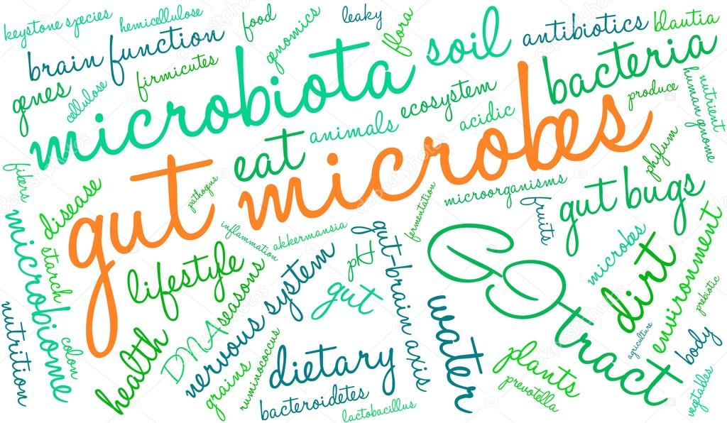 Gut Microbes Word Cloud