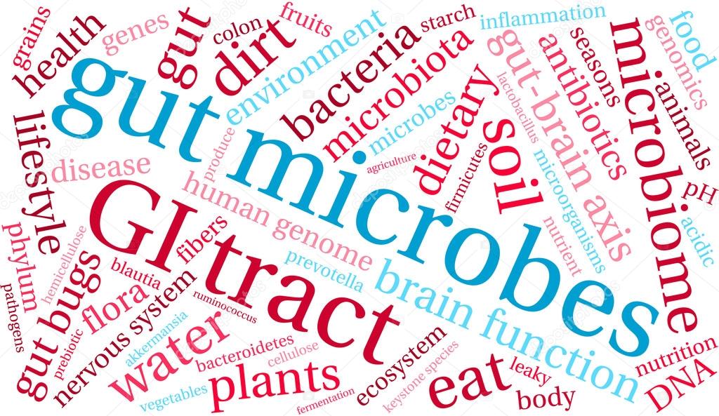 Gut Microbes Word Cloud