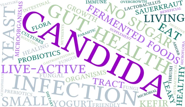 Candida Word Cloud — Stock vektor