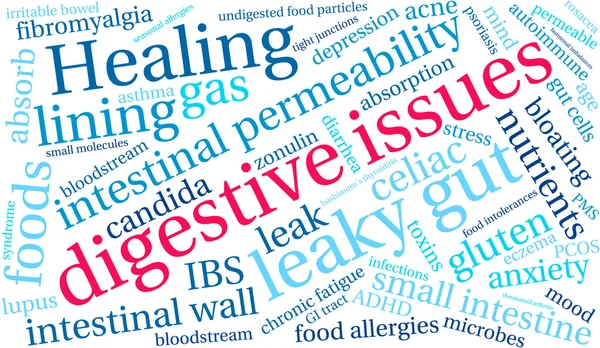 Digestive Issues Word Cloud — Stock Vector