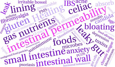 Intestinal Permeability Word Cloud clipart