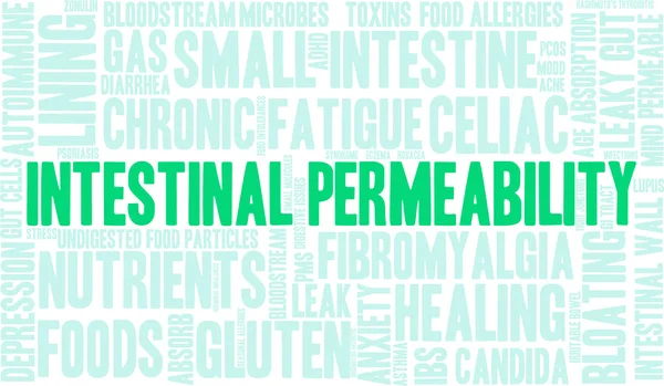 Permeabilidad intestinal Word Cloud — Vector de stock
