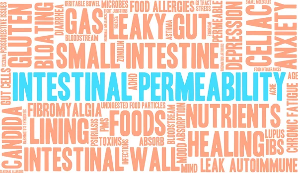 Permeabilidad intestinal Word Cloud — Vector de stock