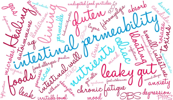 Permeabilidad intestinal Word Cloud — Vector de stock