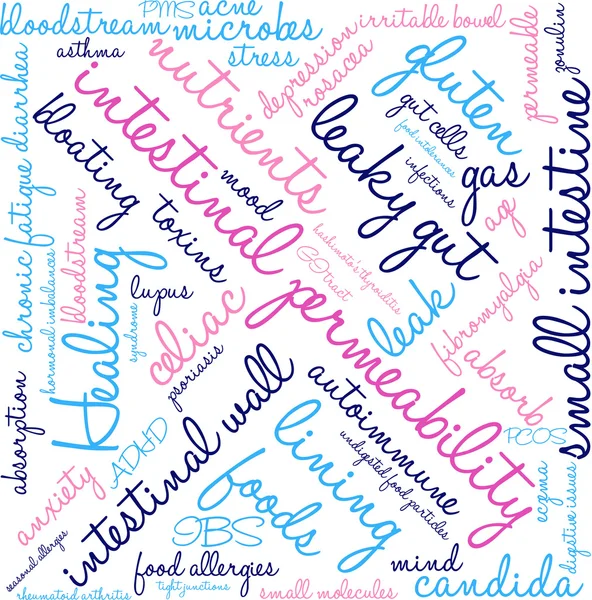 Permeabilidad intestinal Word Cloud — Vector de stock