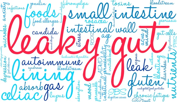 Bulky Gut kelime bulutu