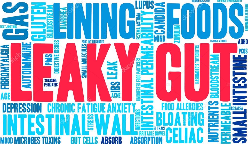 Leaky Gut Word Cloud