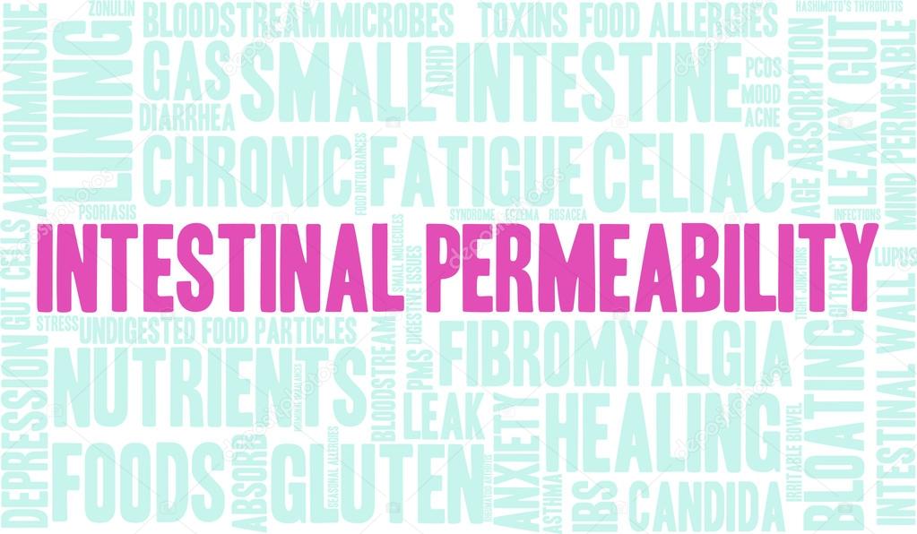 Intestinal Permeability Word Cloud