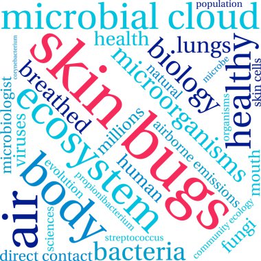 Deri böcekleri kelime bulutu