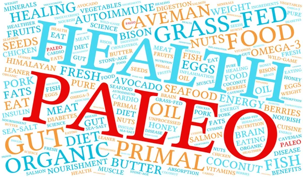 Paleo Word Cloud — Stock Vector