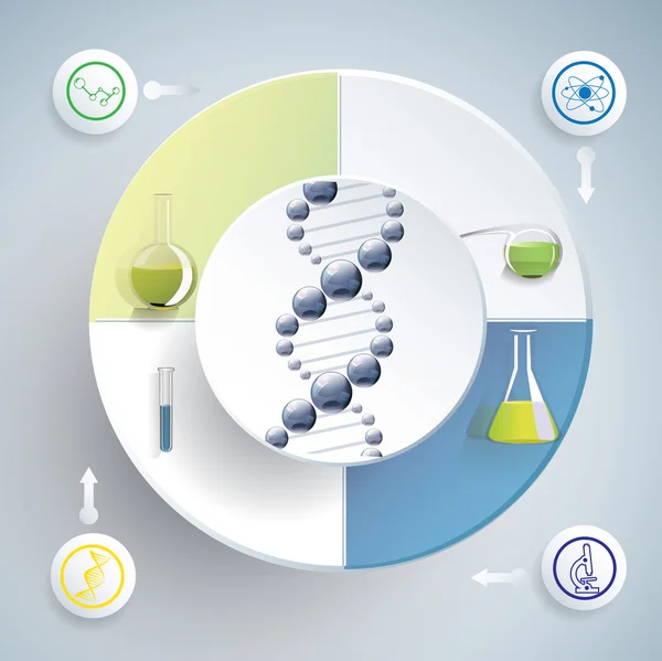 Chimica dall'infografica — Vettoriale Stock