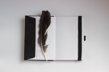 Şiir kavramı ile tüy ve defter