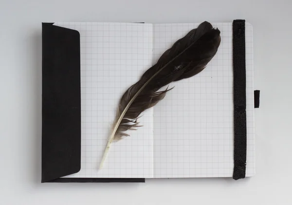 Poetry concept with feather and notebook — Stock Photo, Image